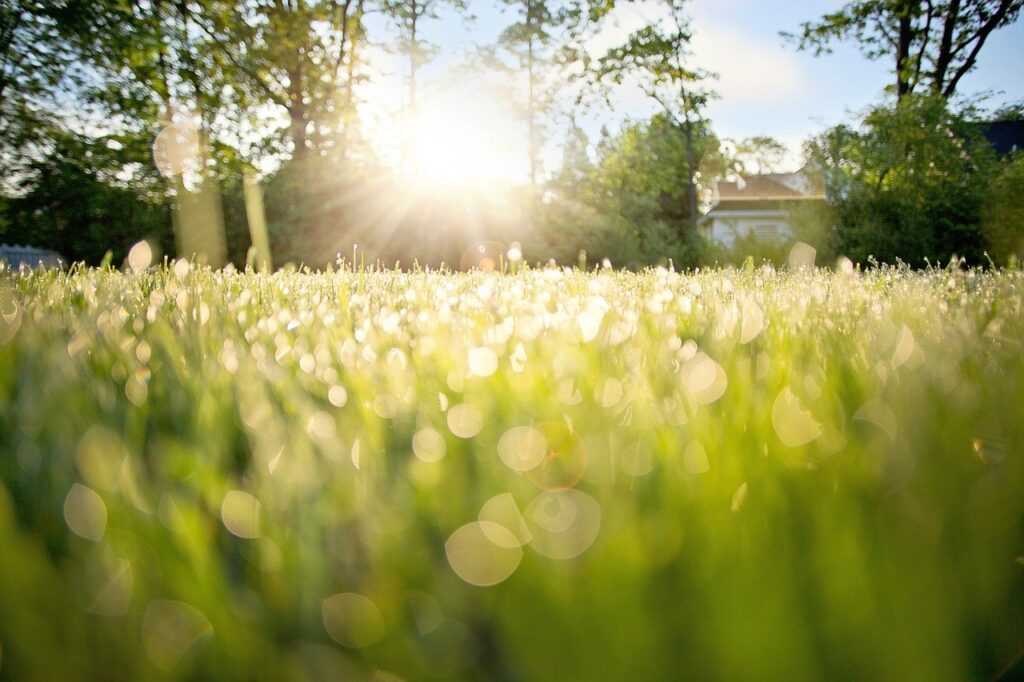 9 Benefits of Walking barefoot on grass